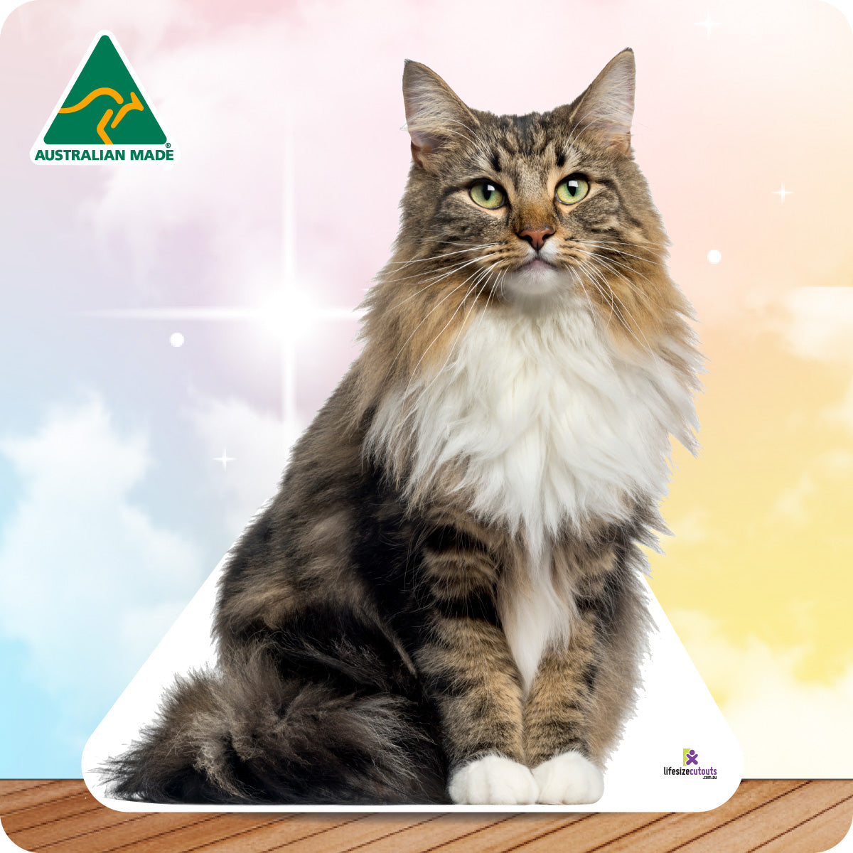 Cat sitting on a white cushion with a blurred background and 'Australian Made' logo.