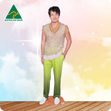 Charlie Puth 396 Celebrity Cutout