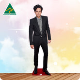 Cole Sprouse 335 Celebrity Cutout