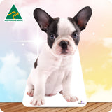 Cardboard cutout of a small dog facing forward