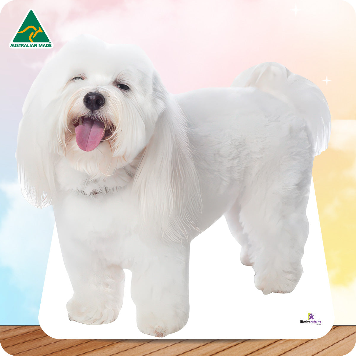 White dog with a happy expression on a colorful background