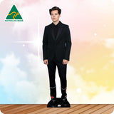 Harry Styles Black Suit 203 Celebrity Cutout