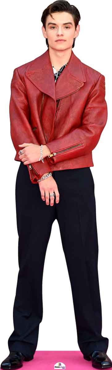 Louis Partridge 216 Celebrity Cutout