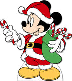 Custom Character Cardboard Cutout