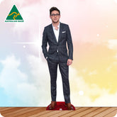 Niall Horan 932 Celebrity Cutout In a grey suit on the red carpet