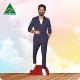 Shahid Kapoor 208 Celebrity Cutout