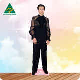 Harry Styles GF Outfit 080 Celebrity Cutout