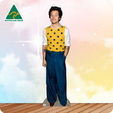 Harry Styles in Polka Dot Vest 298 Celebrity Cutout