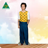 Harry Styles in Polka Dot Vest 298 Celebrity Cutout