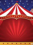 Circus 279 Backdrop Banner - 2m H x 1.3m W