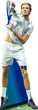 Danill Medvedev 204 Celebrity Cutout