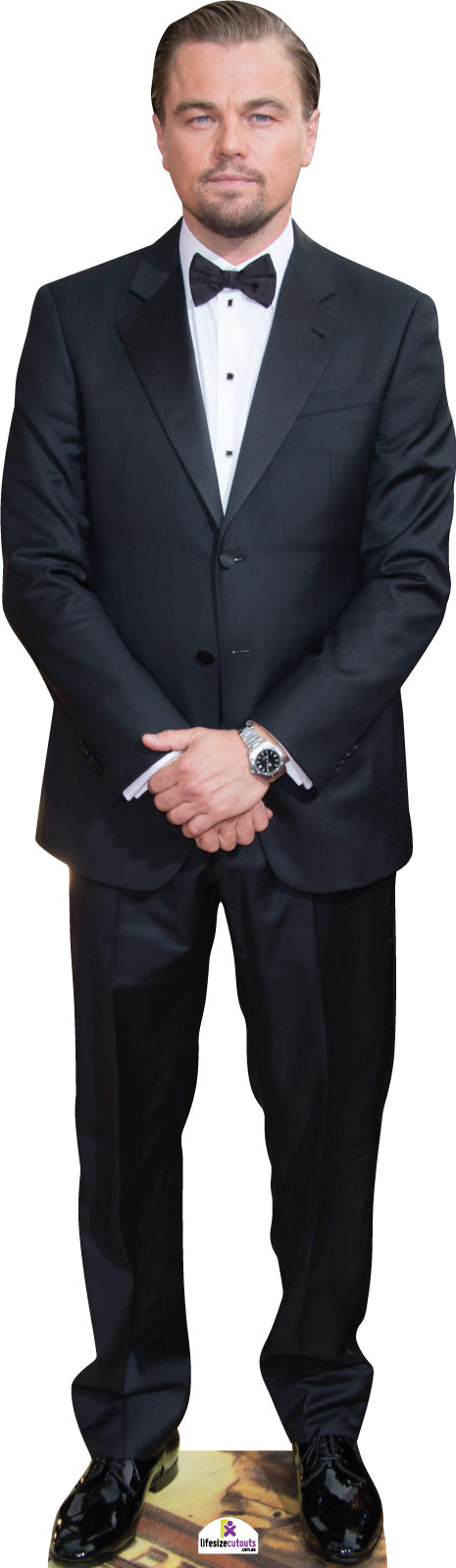 Leonardo DiCaprio 234 Celebrity Cutout