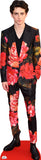 Timothee Chalamet 923 Celebrity Cutout