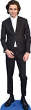 Timothee Chalamet 022 Celebrity Cutout