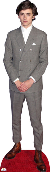 Timothee Chalamet Grey Suit 127 Celebrity Cutout