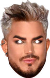 Adam Lambert 212 Celebrity Mask