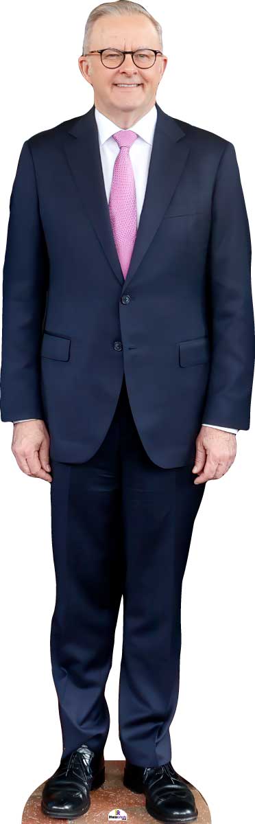 Anthony Albanese 7651 Celebrity Cutout