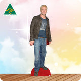 Brad Pitt 287 Celebrity Cutout