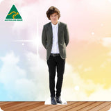 Harry Styles One Direction 889 Celebrity Cutout