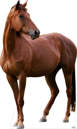 Horse 865 Cardboard Cutout