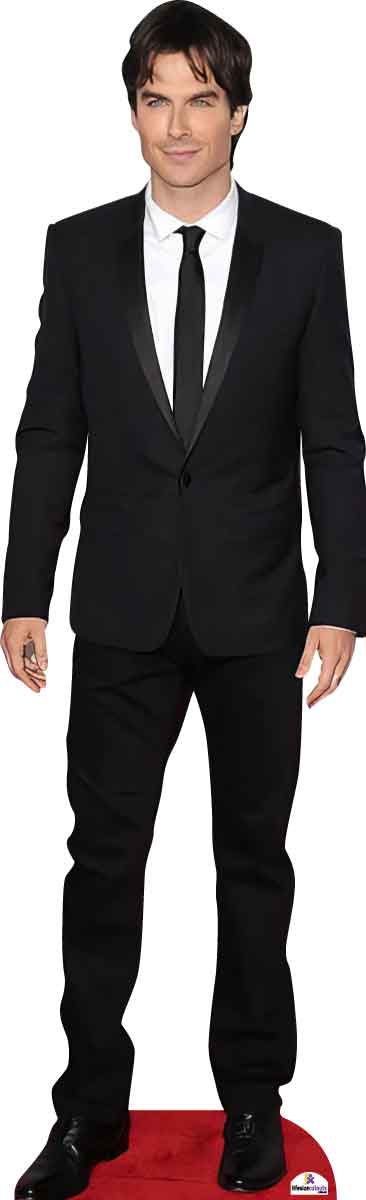 Ian Somerhalder 650 in Black Suit Celebrity Cutout