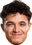 Lando Norris 426 Big Head Cutout