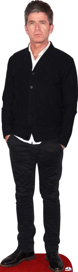 Noel Gallagher 7702 Celebrity Cutout