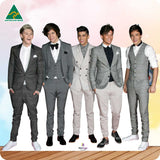 One Direction Group 069 Midi Celebrity Cutout