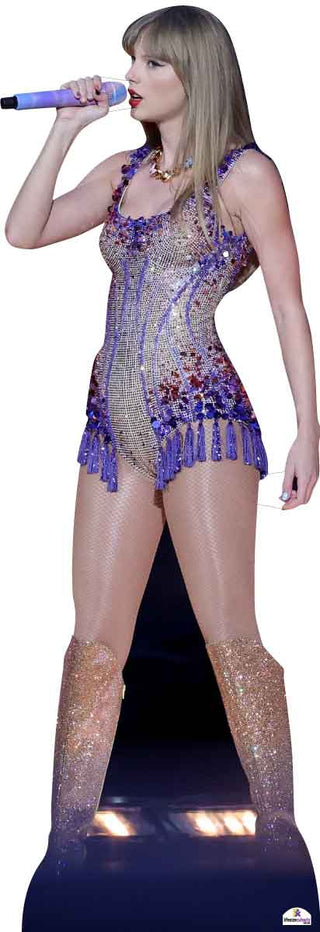 Taylor Swift Sequin Outfit 213 Celebrity Cutout