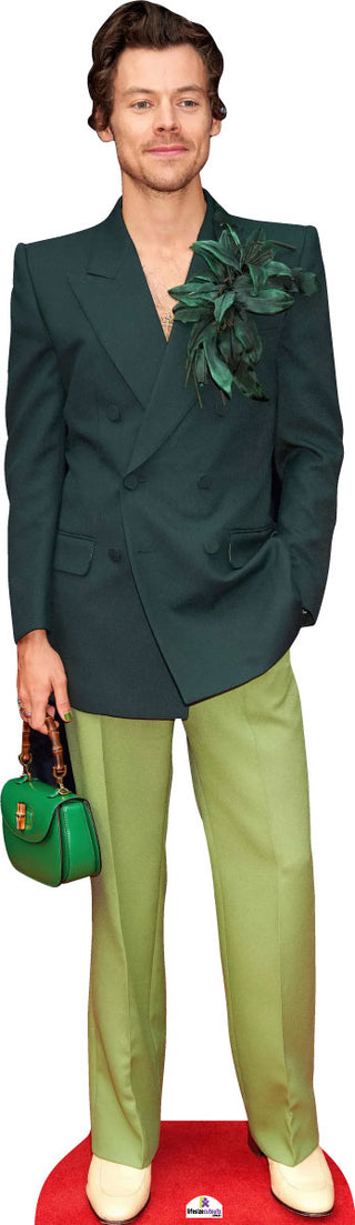 Harry Styles Green Bag 626 Celebrity Cutout
