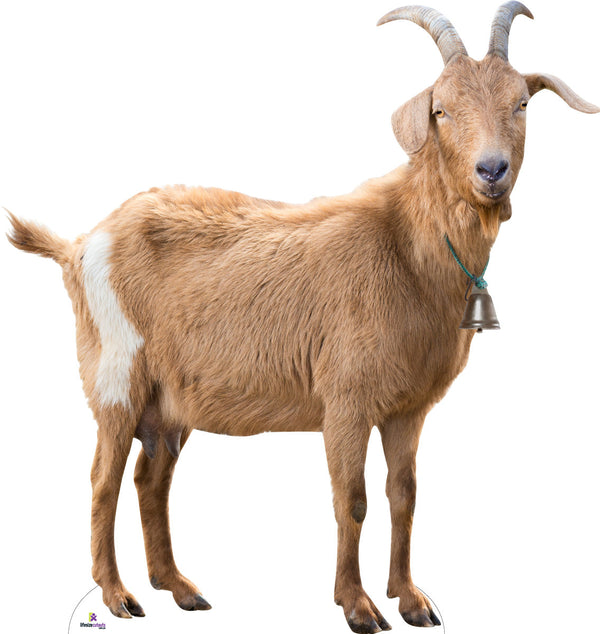 Adult Red Goat 536 Cardboard Cutout