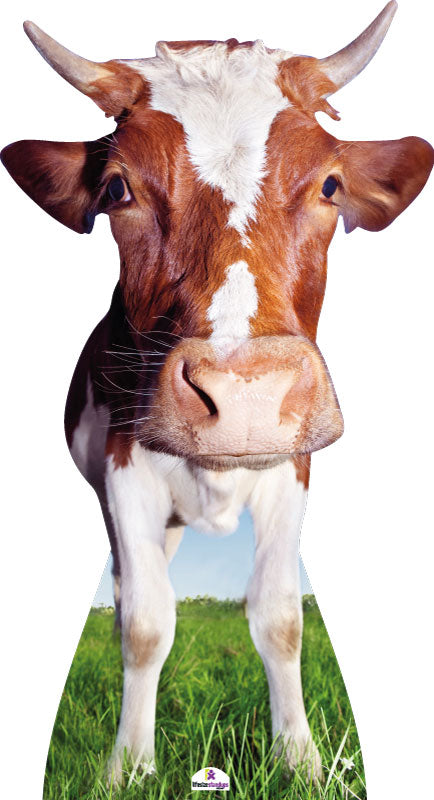 Cow with Huge Head 202 Cardboard Cutout