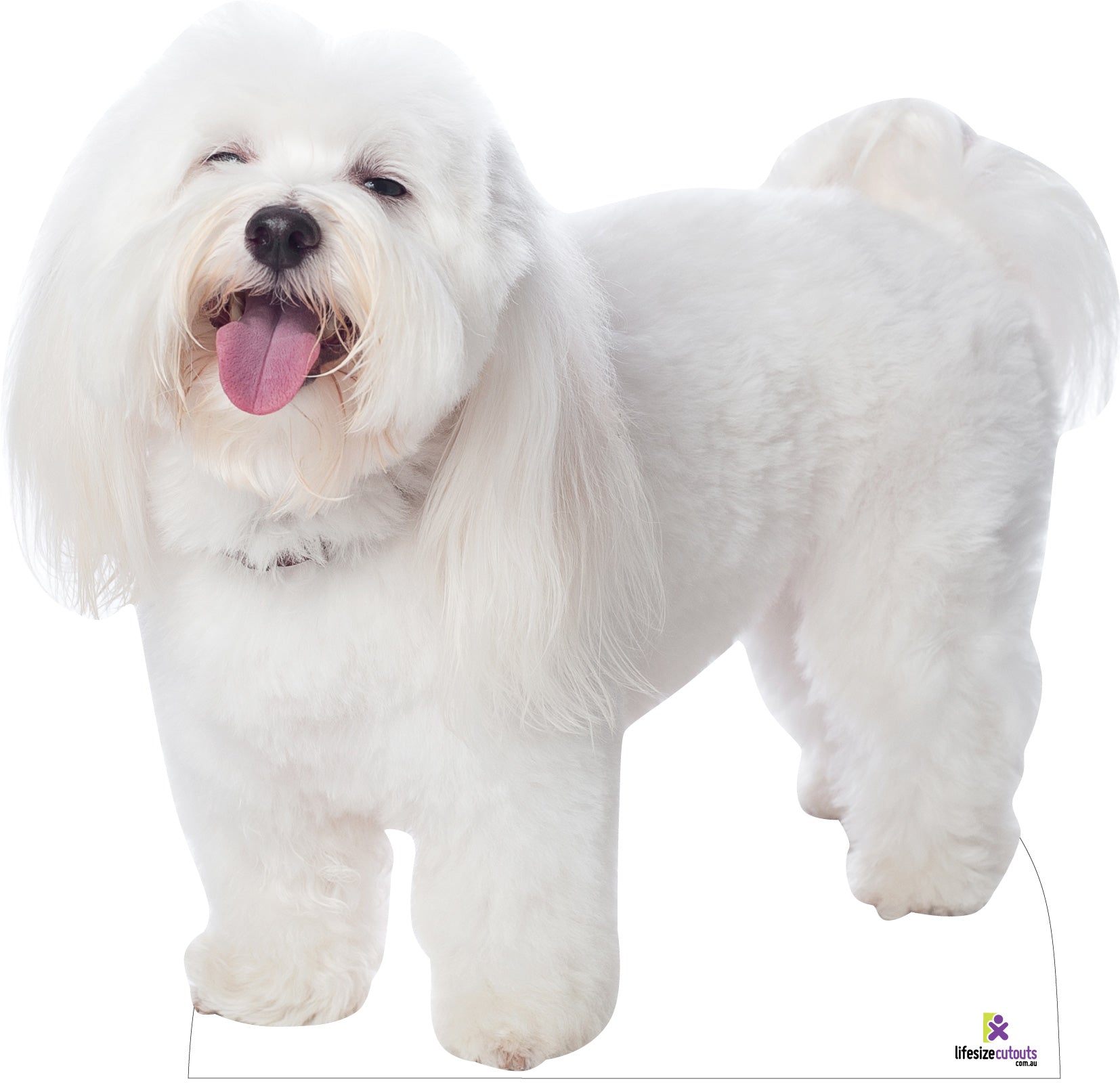 Dog Cardboard Cutouts Shop Life Size Dog Cardboard Cutouts