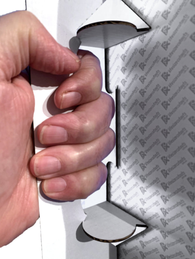 Serena Williams Big Head Cutout