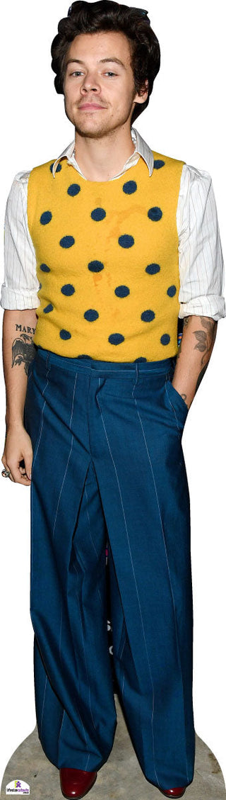 Harry Styles in Polka Dot Vest 298 Celebrity Cutout