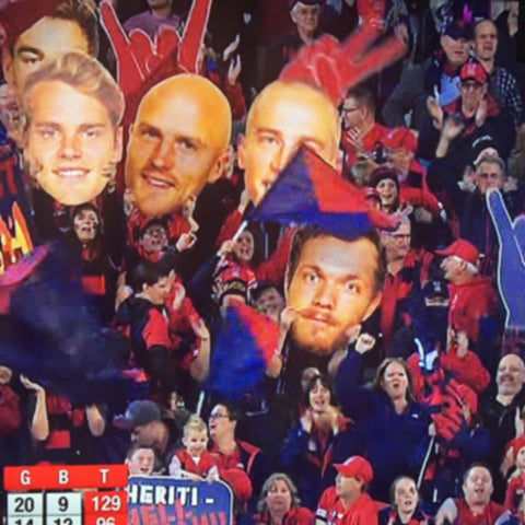 Custom Giant Size Head Cutout with Bonus 10 FREE Faces on a Stick - LIMITED TIME OFFER