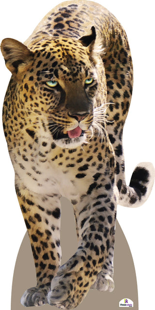 Leopard 887 Cardboard Cutout