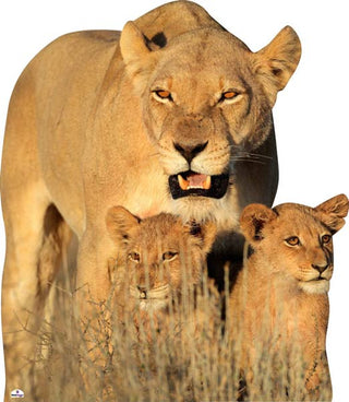 Lion and Cubs Cardboard Cutout